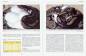 Preview: Python regius – Der Königspython